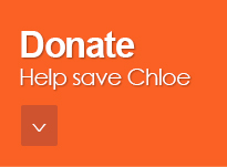 donate